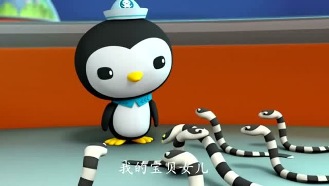 海底小纵队第二季:扁尾蛇妈妈和她的女儿可以回归大海了