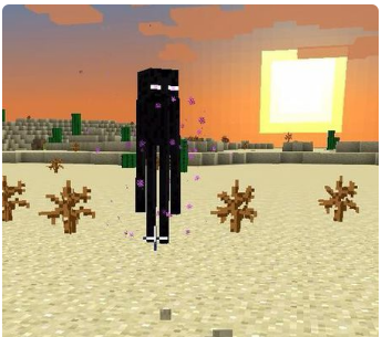 我的世界1.12末地门