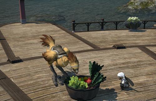 FF14陆行鸟房怎么开启?陆行鸟房培前置任务培