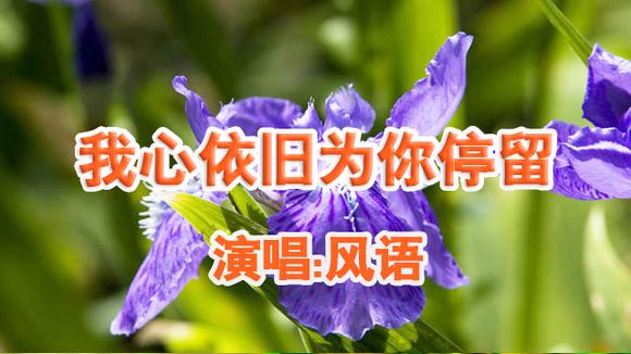 视频:风语《 我心依旧为你停留》如果时光能够回头,我不会让你烦恼