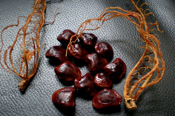 酸角有核吗?长什么样啊