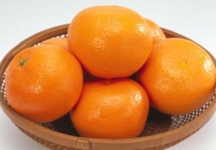橘和桔有什么区别