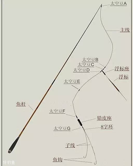 自动钓鱼竿使用方法图片