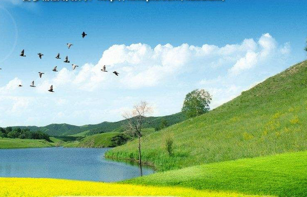 用春天大地飞鸟树叶小鱼青蛙青草莲花雪人造句_360问答