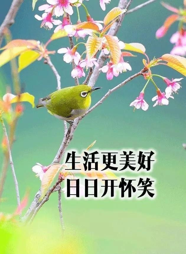 致朋友跨年的文案