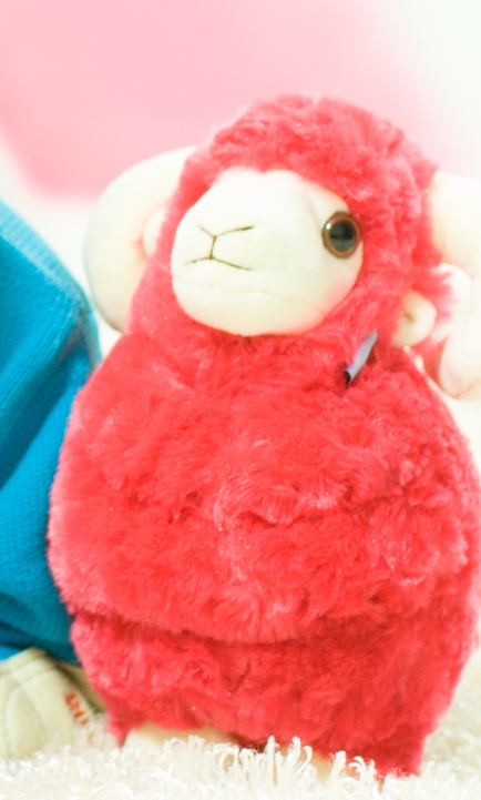 为什么我用raw格式拍的照片用美图看看打开颜