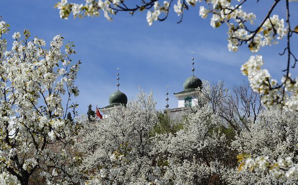 四月中旬适合去哪里旅游