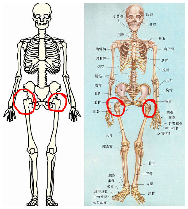 请问人体这块骨头叫什么