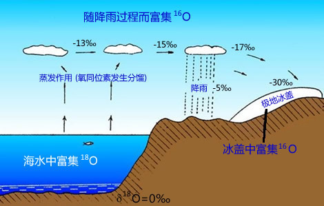 同位素举例图片