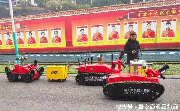 杉木树透水事件