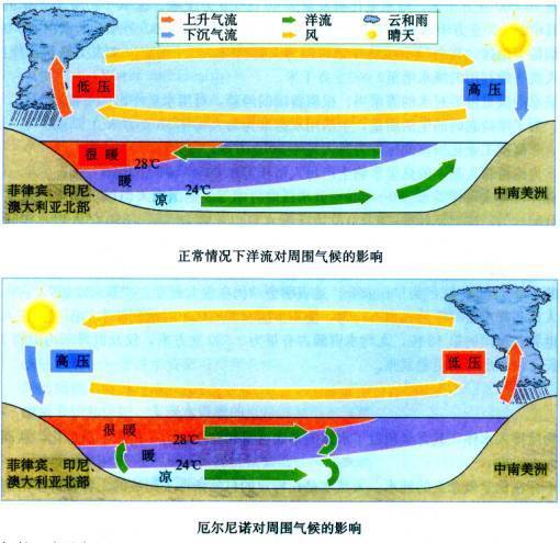 正常年份太平洋南赤道附近洋流是從南美洲西海岸流向大洋洲東海岸,也