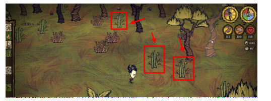 饥荒怎样获得竹竿