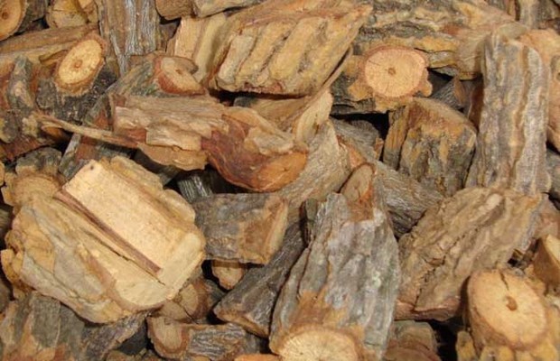 常见的中草药饲料添加剂有哪些?