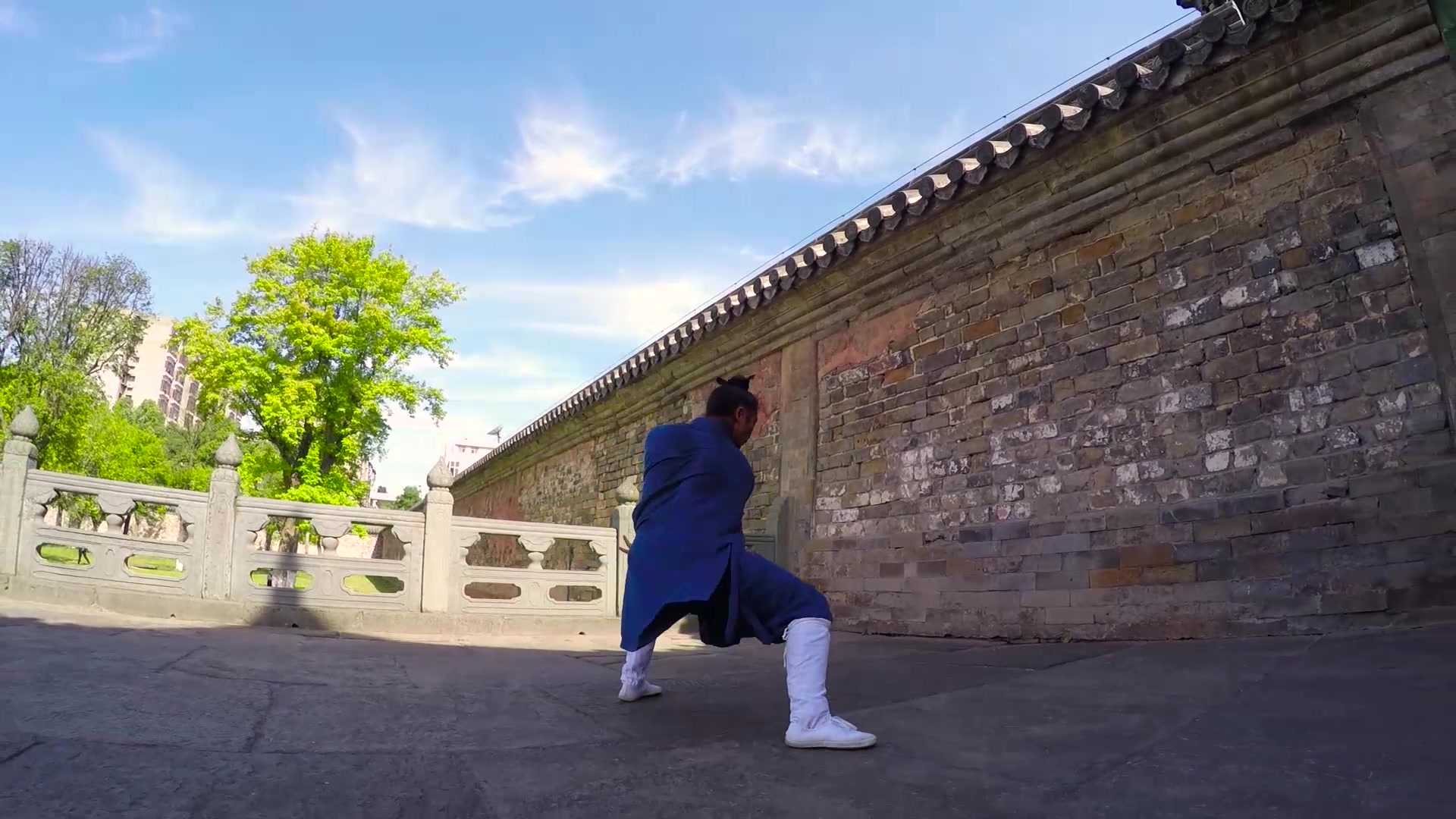 武当伏虎拳 拳拳生风 拳如其名 太吾绘卷 紫阳正气拳原型