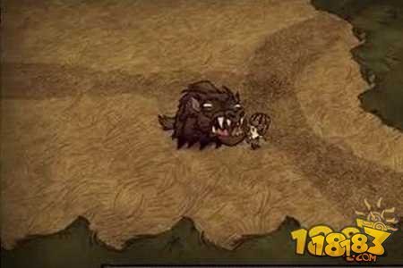 饥荒重生指令怎么使用 重生指令使用技巧