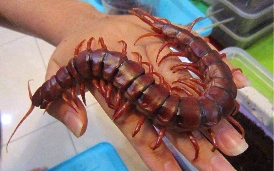 360影视-影视搜索