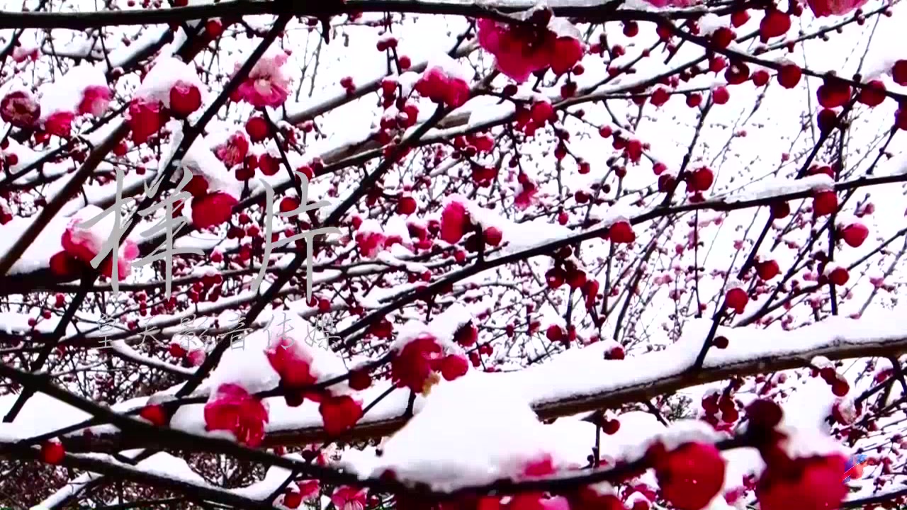 [图]沁园春雪诗歌朗诵配乐伴奏北国雪景儿童节舞台LED大屏幕高清背景视频素材 皇天影音传媒