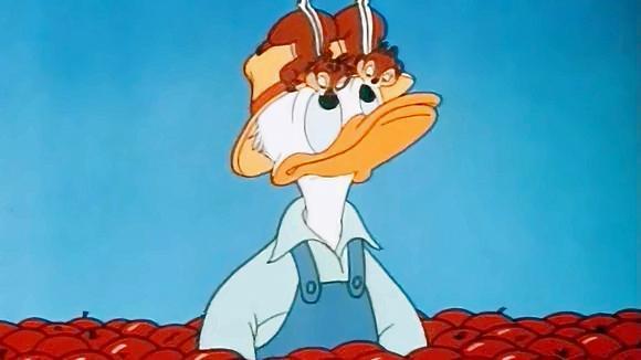 唐老鸭 小松鼠偷 唐老鸭的苹果,还把 唐老鸭仓库的苹果给撒了一地