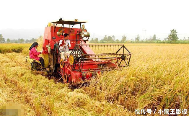 未来二十年中国热门的几个行业,值得创业者参