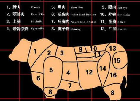 牛里脊所处部位如下图11的位置.