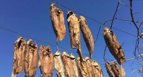 风吹鱼腌制几天好