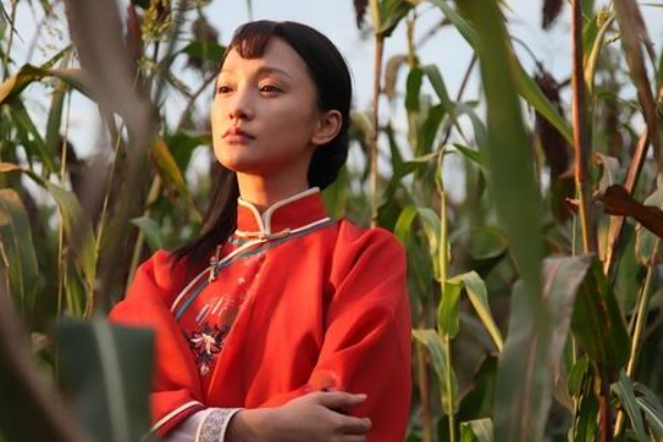 郑晓龙的全部作品?