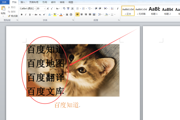 怎样在word的图片里打字?