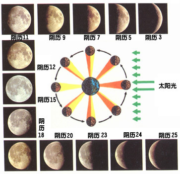 月亮七宫图片