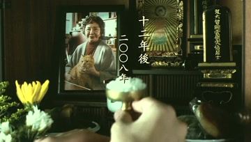 360影视 影视搜索