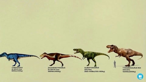 乐高恐龙世界 恐龙乐园 霸王龙家族成员体型对比