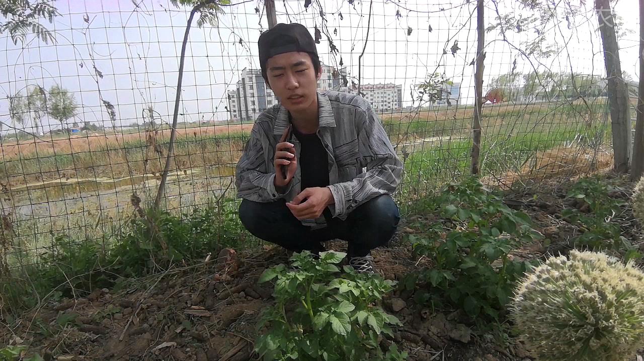 360影视 影视搜索