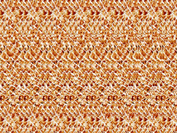 眼力大比拼!这样的照片你敢看吗?