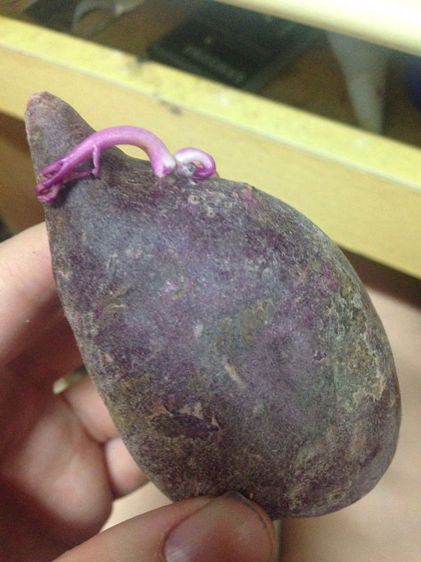 这紫薯还能吃吗