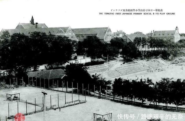 山东青岛学校有多少