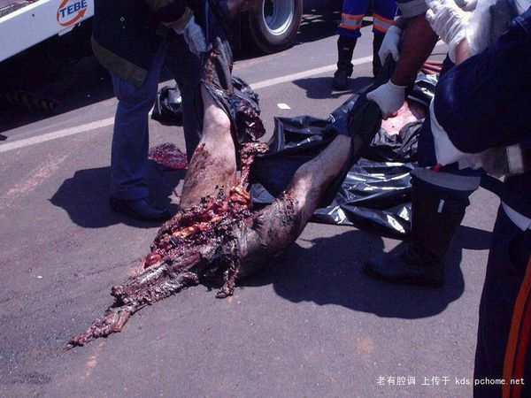 这是真的吗?
