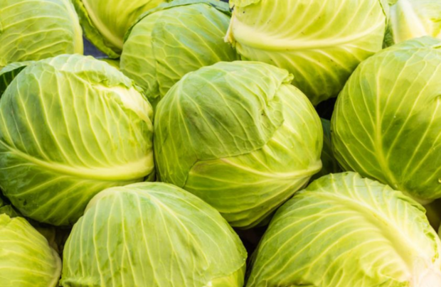 牛心菜和包菜的区别是什么?_360问答