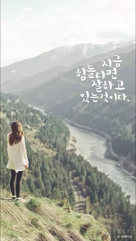 图片上的韩文翻译成中文,用不了翻译器,在线等