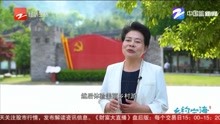 [图]我和我的村庄(一):“净零碳”村的绿色生活