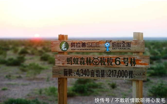 蚂蚁在联合国获得什么奖