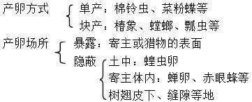 昆虫的产卵类型有哪些