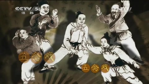 周稔丰五禽戏视频