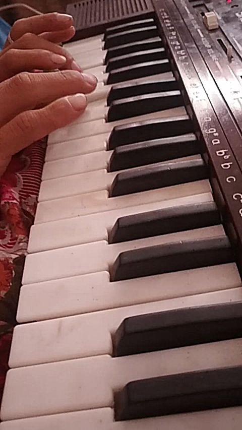 苗族电子琴 毕节大方 杨阳