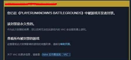 steam吃鸡IP被封会有什么现象?