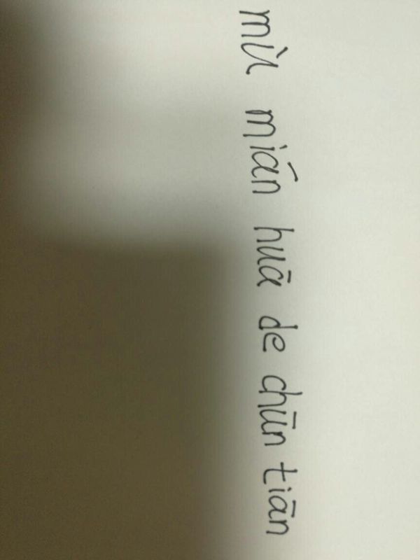 木棉花的春天拼音怎样的