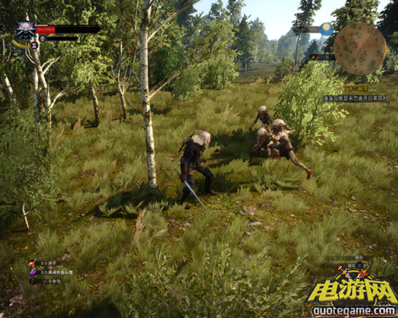 巫师3怎么快速升级