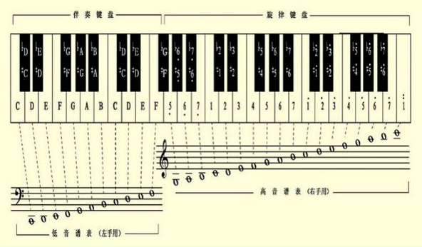 扩展资料: 电子琴61键指法 1 , 手指自然弯曲,同手掌一起构成一个半