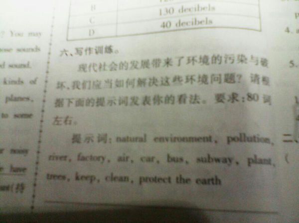 英语作文,关于环境污染的,80词