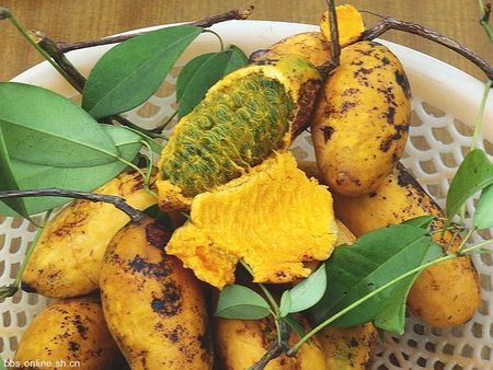 一种爬藤植物,果实里边是满满的黑籽,很好吃.是什么啊?