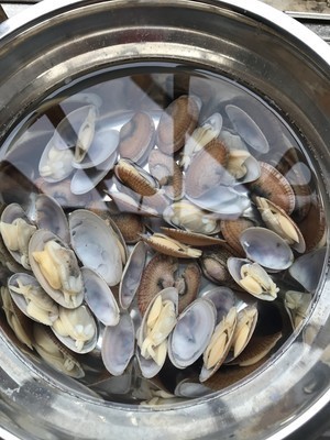 花甲青菜汤的做法步骤图,花甲青菜汤怎么做