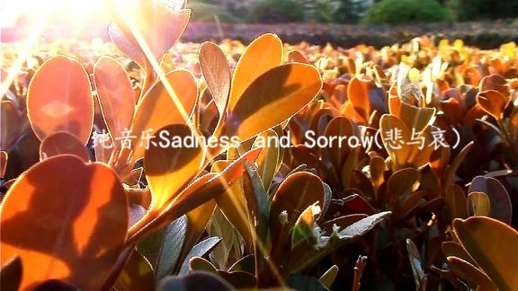 [图]纯音乐Sadness and Sorrow(悲与哀)